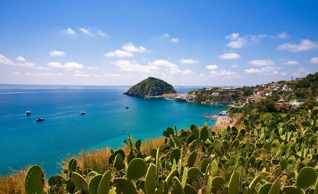 Hotel Vittorio Beach Resort Barano dʼIschia Zewnętrze zdjęcie